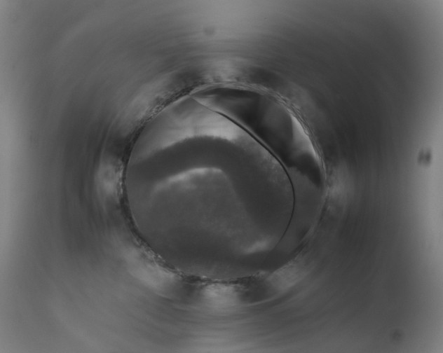 X0000111600332200908061420