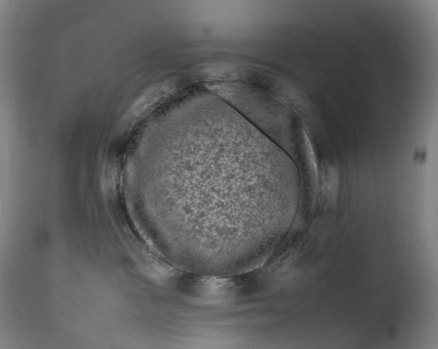 X0000111600333200908061420