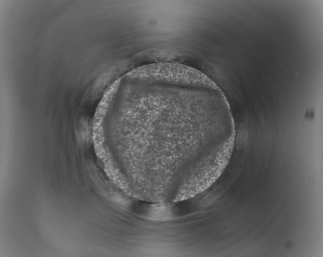 X0000111600335200908061420
