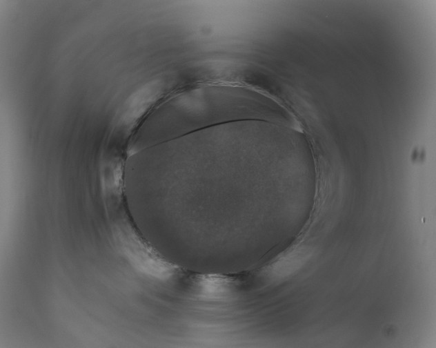 X0000111600336200908061420