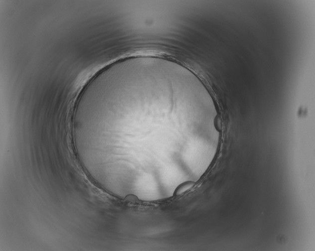 X0000111600337200908061419