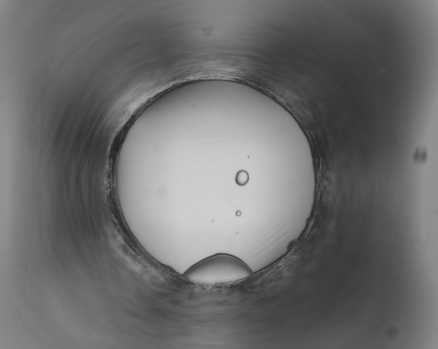 X0000111600338200908061419