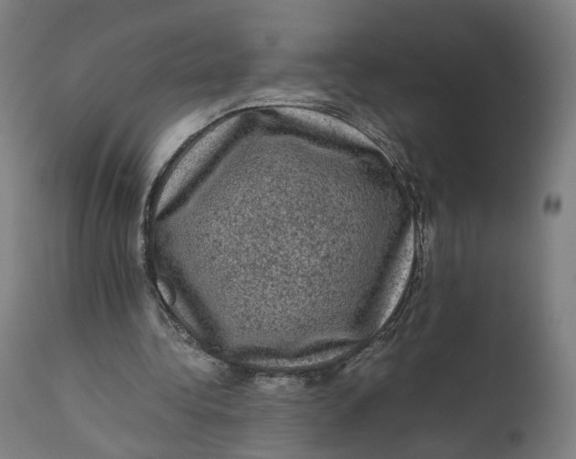 X0000111600340200908061419