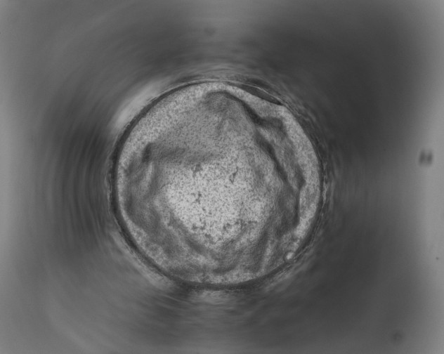 X0000111600341200908061419