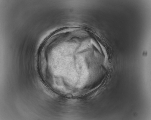 X0000111600342200908061419