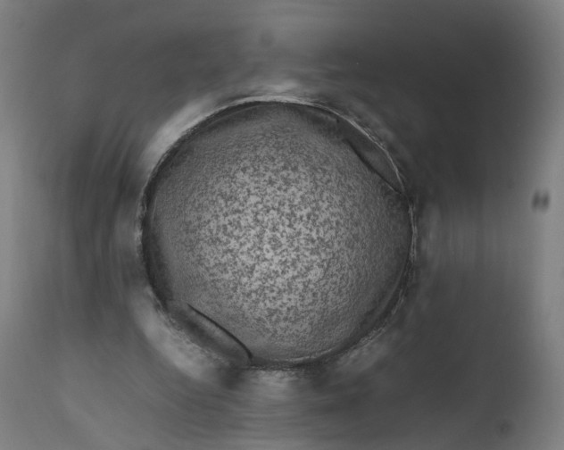 X0000111600344200908061419