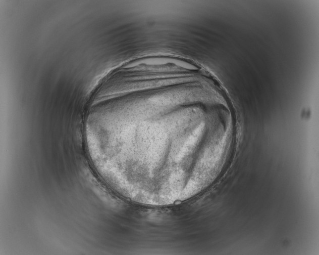 X0000111600345200908061419
