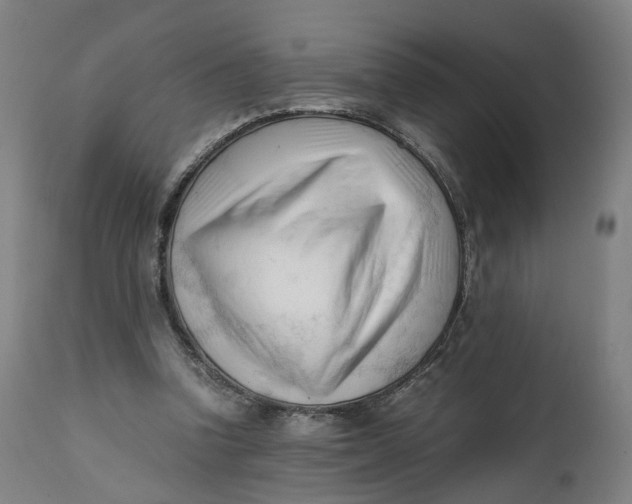 X0000111600346200908061419
