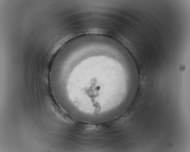 X0000111600347200908061419
