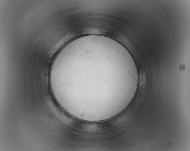 X0000111600349200908061419