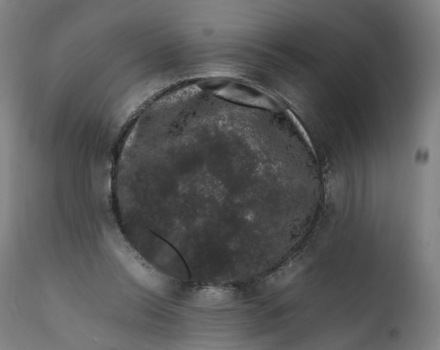 X0000111600350200908061419