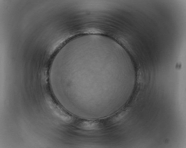 X0000111600351200908061419