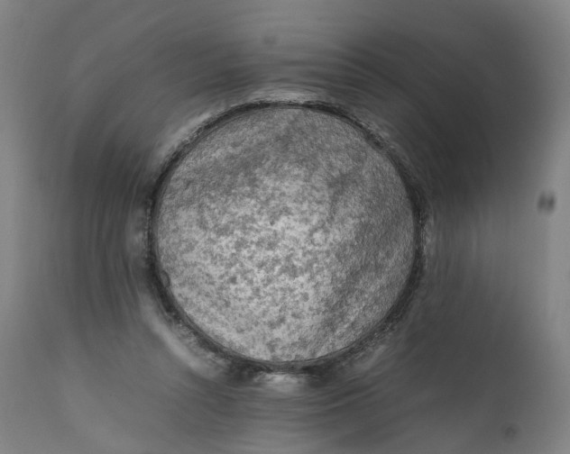 X0000111600352200908061419