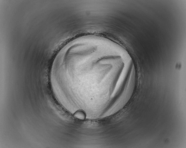 X0000111600354200908061419