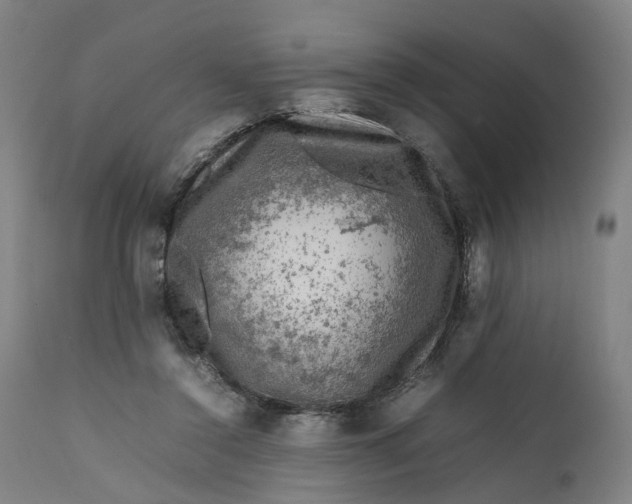 X0000111600356200908061419