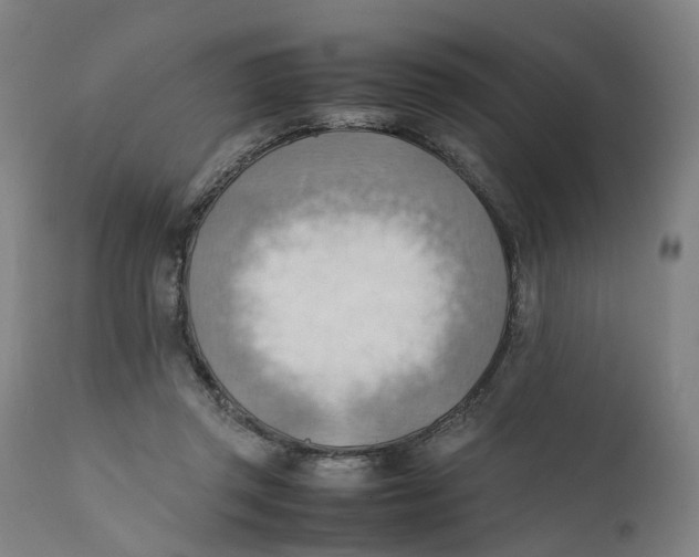 X0000111600357200908061419