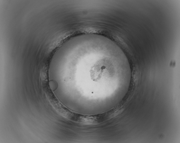 X0000111600359200908061419