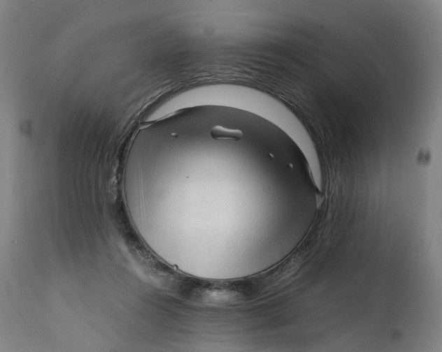 X0000111600360200908061419