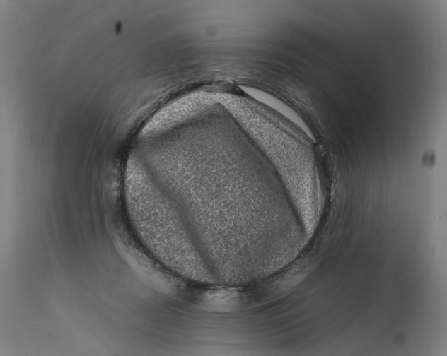 X0000111600362200908061419