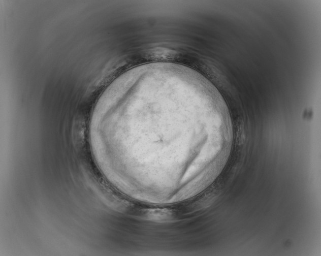 X0000111600363200908061419