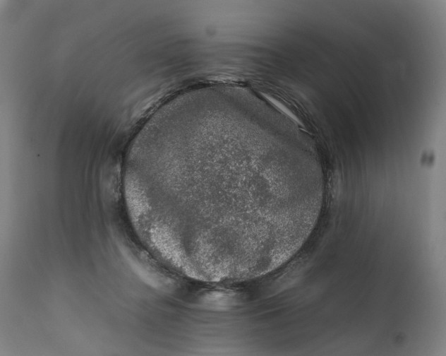 X0000111600364200908061419
