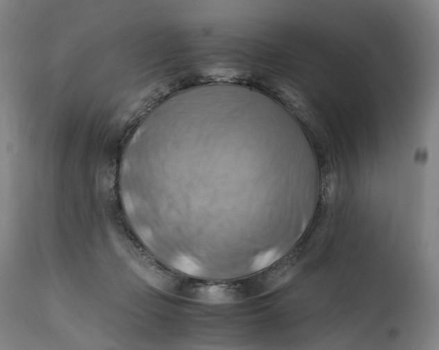 X0000111600365200908061419