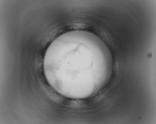 X0000111600367200908061419