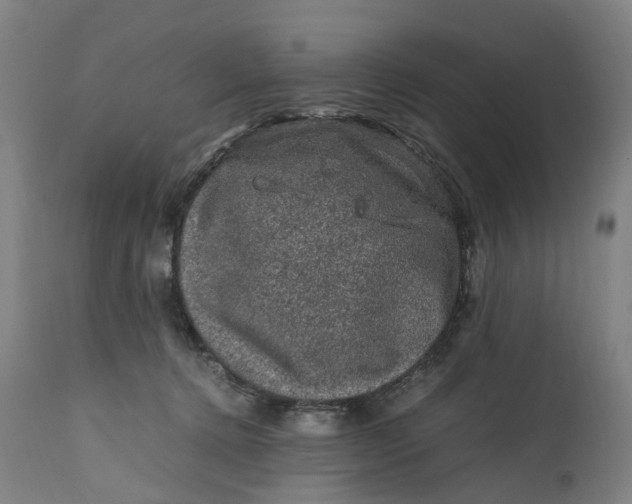 X0000111600368200908061419