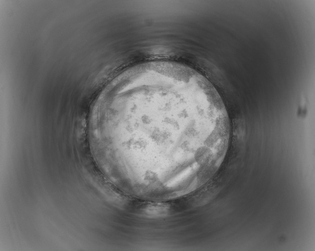 X0000111600369200908061420