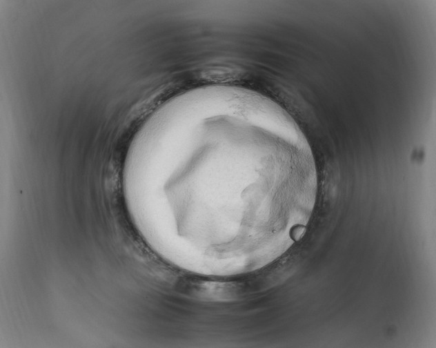 X0000111600371200908061420