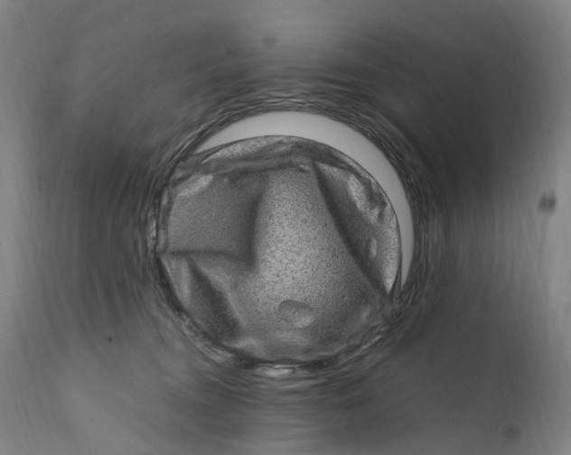 X0000111600372200908061420