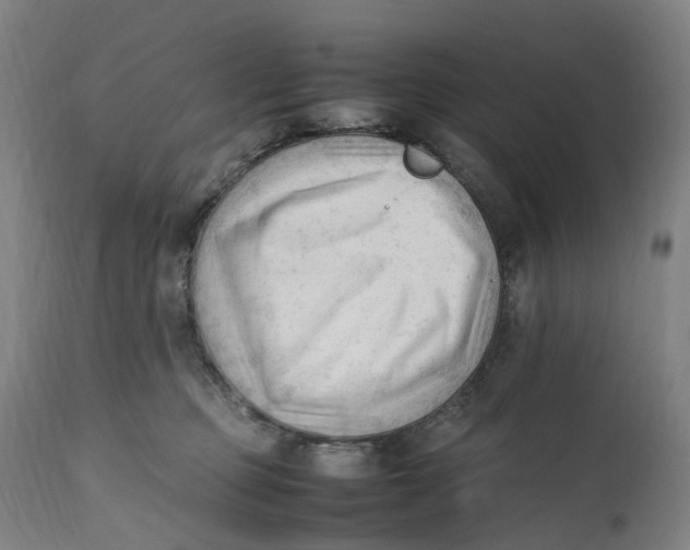 X0000111600373200908061420