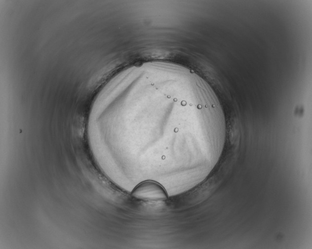 X0000111600374200908061420