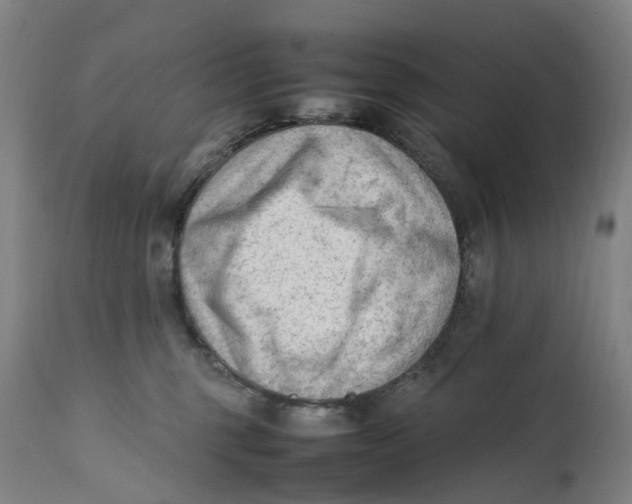 X0000111600375200908061420