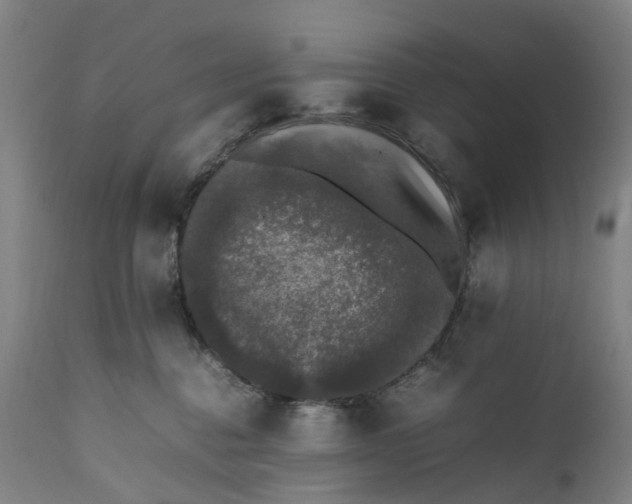 X0000111600376200908061420