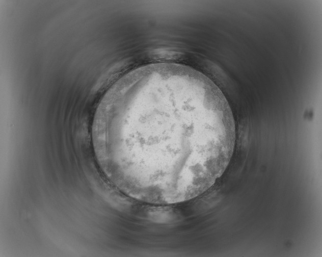 X0000111600377200908061420
