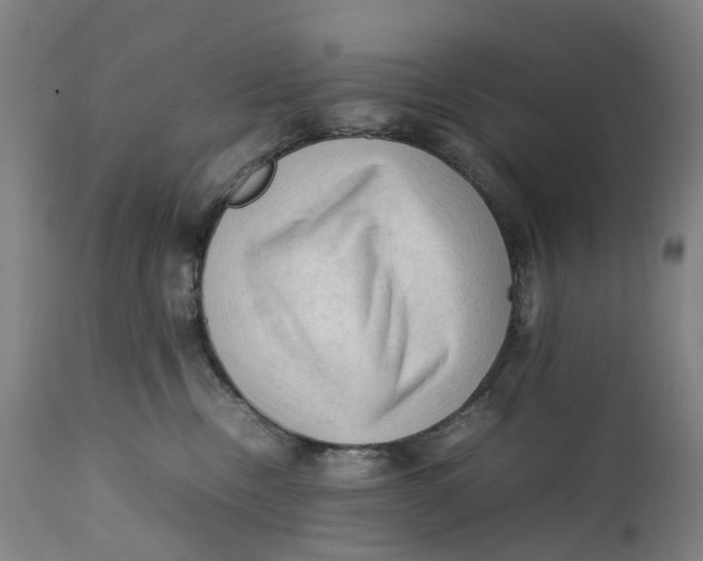 X0000111600378200908061420