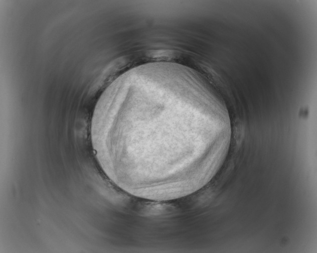 X0000111600379200908061420
