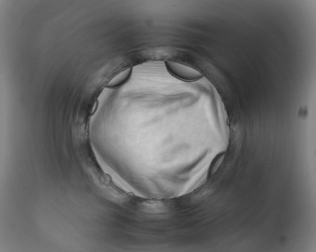 X0000111600381200908061420