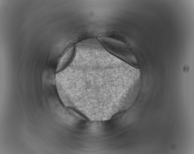 X0000111600384200908061420