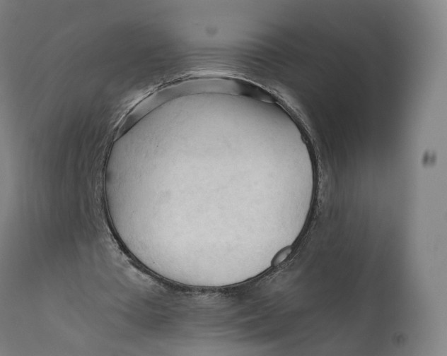 X0000111600385200908061419