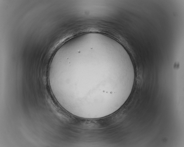 X0000111600386200908061419