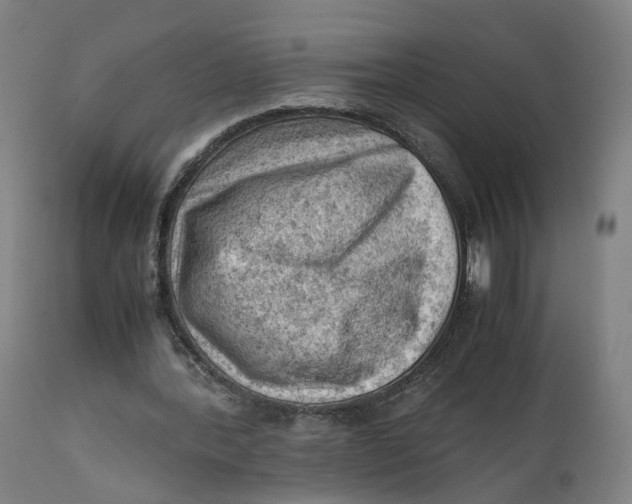 X0000111600388200908061419