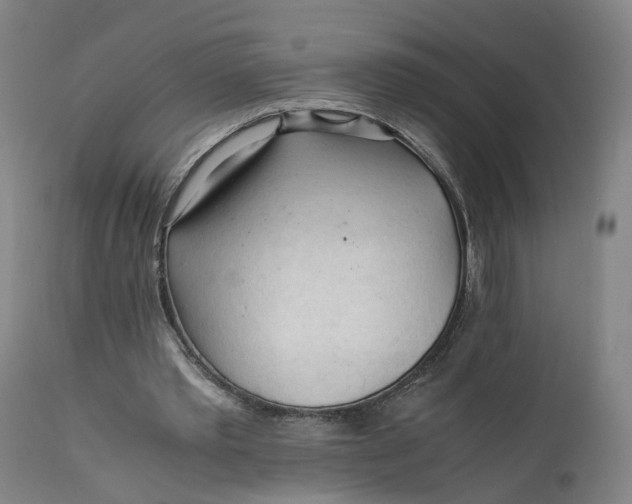 X0000111600389200908061419