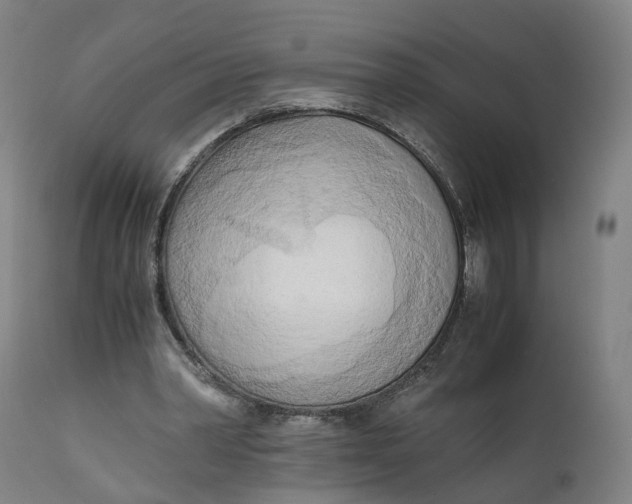 X0000111600390200908061419