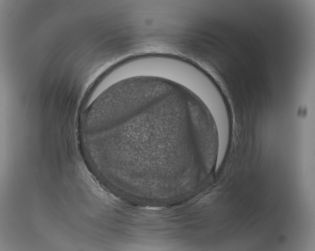 X0000111600391200908061419