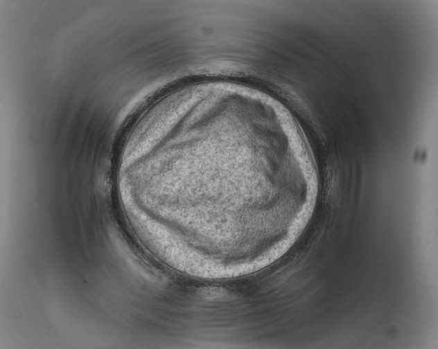 X0000111600392200908061419