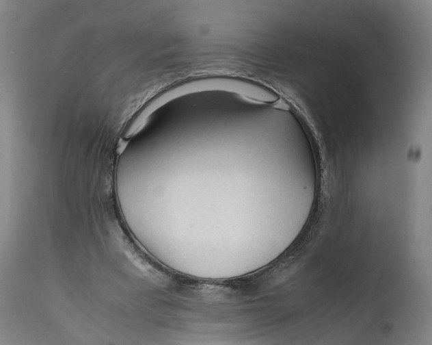 X0000111600393200908061419