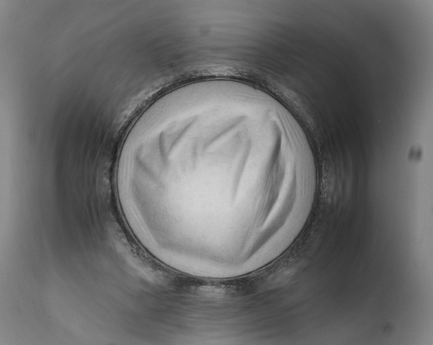 X0000111600394200908061419