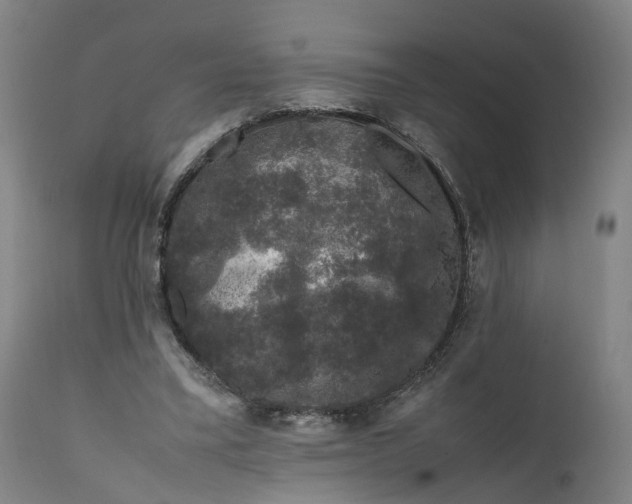 X0000111600395200908061419